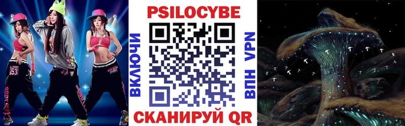 Галлюциногенные грибы Psilocybine cubensis  купить наркотик  Балахна 
